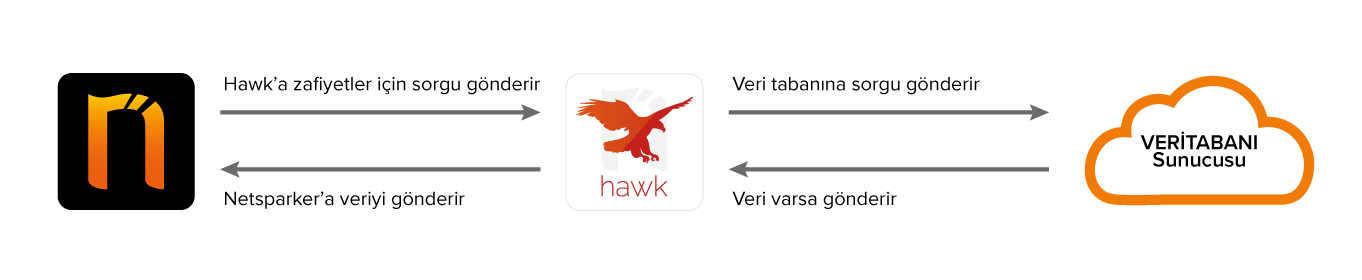 Invicti Hawk, SSRF ve Out-of-Band Zafiyetlerini Nasıl Tespit Eder-2