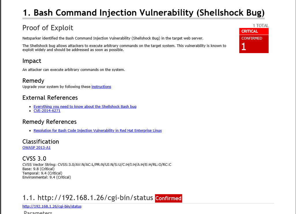 Netsparker ve CVSS